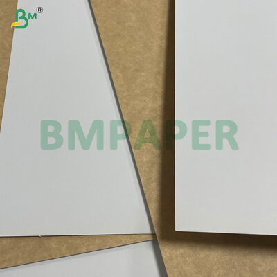 250G - 450G White Top Coated Renewable CKB Kraft Board In Sheet