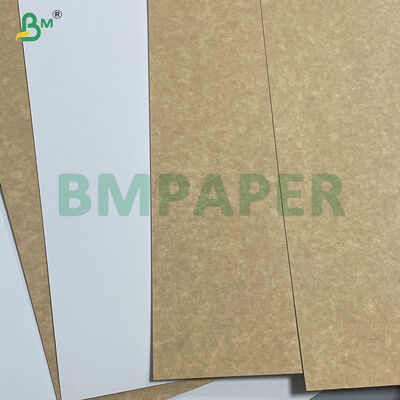 250G - 450G White Top Coated Renewable CKB Kraft Board In Sheet