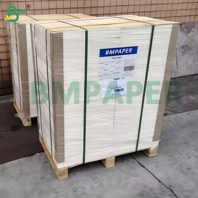 100lb 270gm Wit ongelaagd glad Bristol Board 22" x 30"