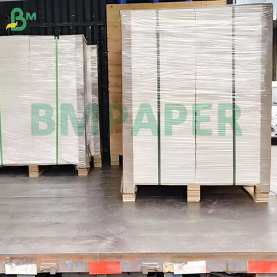 100lb 270gm Wit ongelaagd glad Bristol Board 22" x 30"