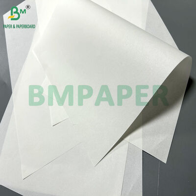 Duidelijk afdrukbaar wit 40 gram gezondheidspapier voor medische instructies 65 x 86 cm