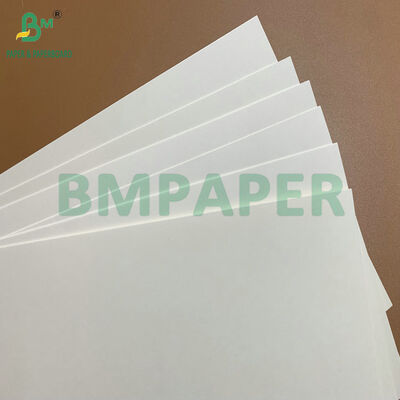 Hoge-bulk C1S gecoat 275 gsm 325 gsm wit karton voedselcontactpapier voor wegwerpborden en voedseltrays