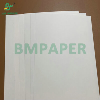 Hoge-bulk C1S gecoat 275 gsm 325 gsm wit karton voedselcontactpapier voor wegwerpborden en voedseltrays