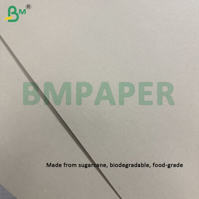 300 gm Ongebleekt Suikerriet Bagasse Pulppapierplaat Biologisch afbreekbaar Gecertificeerd 787 mm X 1092 mm