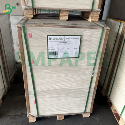 300 gm Ongebleekt Suikerriet Bagasse Pulppapierplaat Biologisch afbreekbaar Gecertificeerd 787 mm X 1092 mm