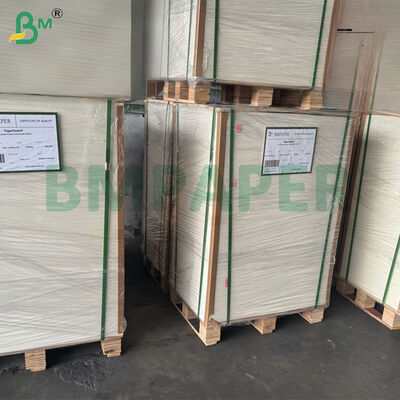 300 gm Ongebleekt Suikerriet Bagasse Pulppapierplaat Biologisch afbreekbaar Gecertificeerd 787 mm X 1092 mm