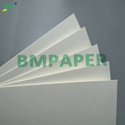 Voedingsmiddelen PE bedekt 210 g 235 g papierplaat ️ lekbestendig karton voor warme soep kom