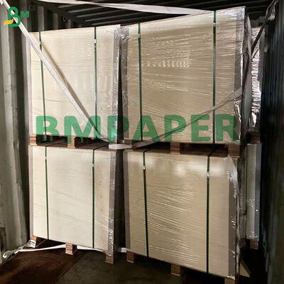Tortilla's Inpakpapier 23g 25g Niet - Stick Papel Cebolla Para Tortilla's
