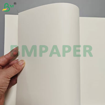 Voedselcontainer papierplaten 190 gm + PE-coating