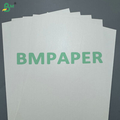 170-400 gsm PLA-gecoat cupstockpapier composteerbaar karton voor warme en koude drankbekers