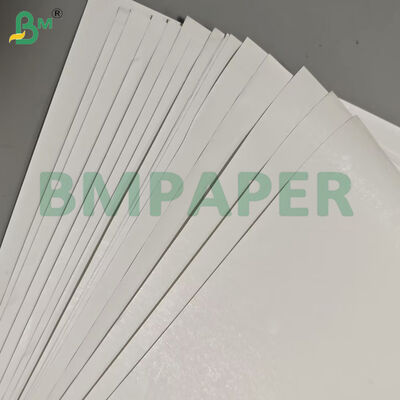 55gsm Custom Rolbreedte Thermisch Papier Jumbo Rollen voor Labels