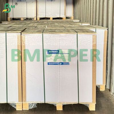 75gsm NCR Kopieerpapier Vellen Letterformaat 500 Vel per Pak
