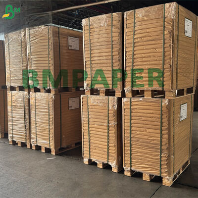 Two Sides Kraft Base Paper For Beverage Cups Forming 210 - 320gsm