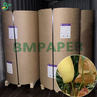 Dubbellaags waterdicht 56gsm fruitbeschermingspapier voor mango 450mm
